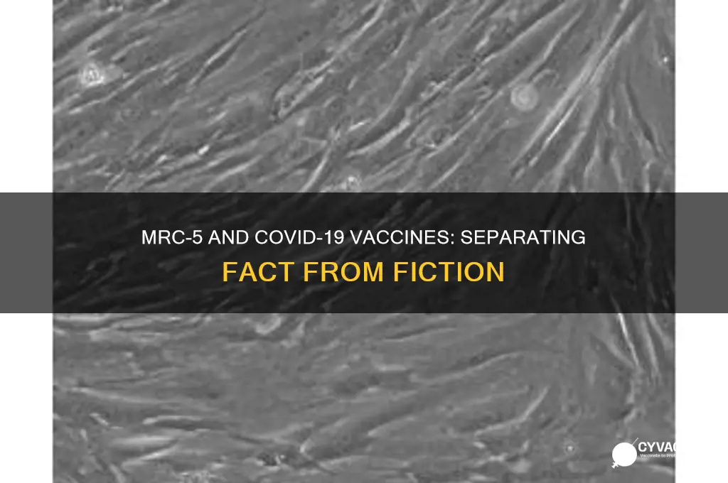 is mrc-5 in the corona virus vaccine