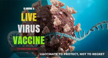 Understanding mRNA Vaccines: Debunking the Live Virus Myth