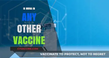 Exploring mRNA's Role in Modern Vaccines: A Comprehensive Overview