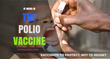 Unraveling the mRNA Mystery in Polio Vaccines: Facts and Myths