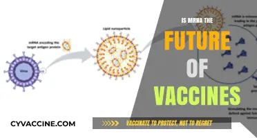 Revolutionizing Immunization: The Promising Future of mRNA Vaccines