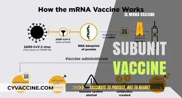 Unraveling the Science: mRNA Vaccines and Subunit Vaccines Explained