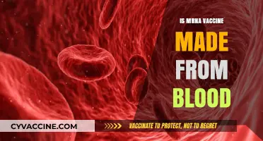 Unraveling the Science: mRNA Vaccines and the Blood Connection