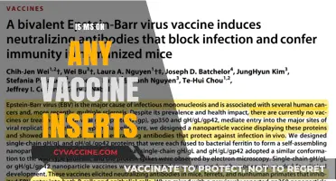 Unveiling the Truth: MS and Vaccine Inserts Explained