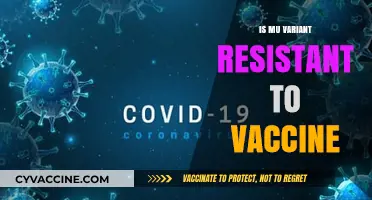 Exploring the Mu Variant: Vaccine Resistance and Public Health Implications