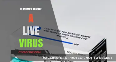 Is the Mumps Vaccine a Live Virus? Facts and Safety Explained