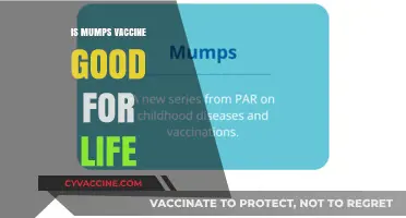 Lifelong Immunity: The Mumps Vaccine's Enduring Protection
