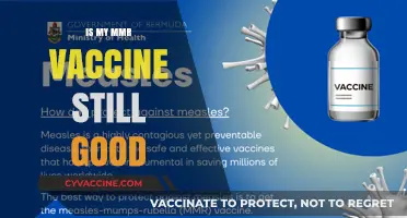 MMR Vaccine Effectiveness: How Long Does It Last?