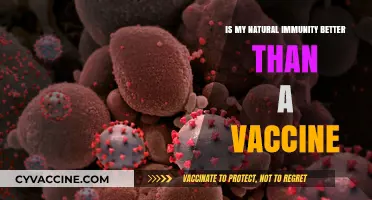 Natural Immunity vs. Vaccines: Which Offers Stronger Protection?