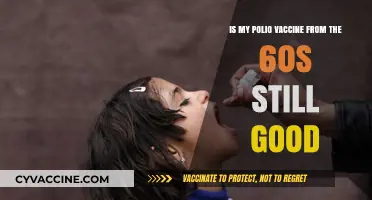 Polio Vaccine Longevity: Is 60s Immunization Still Effective Today?