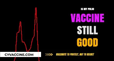 Polio Vaccine Effectiveness: How Long Does It Last?