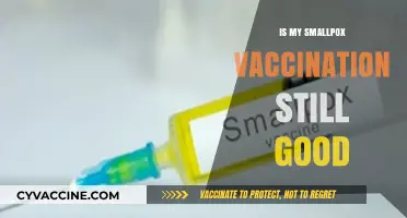 Revisiting Smallpox Vaccination: Is Your Immunity Still Active?