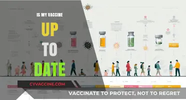 Stay Protected: A Guide to Keeping Your Vaccinations Current