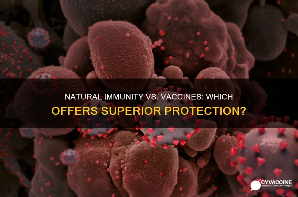 is natural born immunity better than a vaccine
