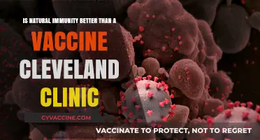 Natural Immunity vs. Vaccines: Cleveland Clinic Experts Weigh In