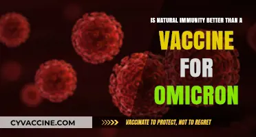 Natural Immunity vs. Vaccines: Which Offers Better Omicron Protection?