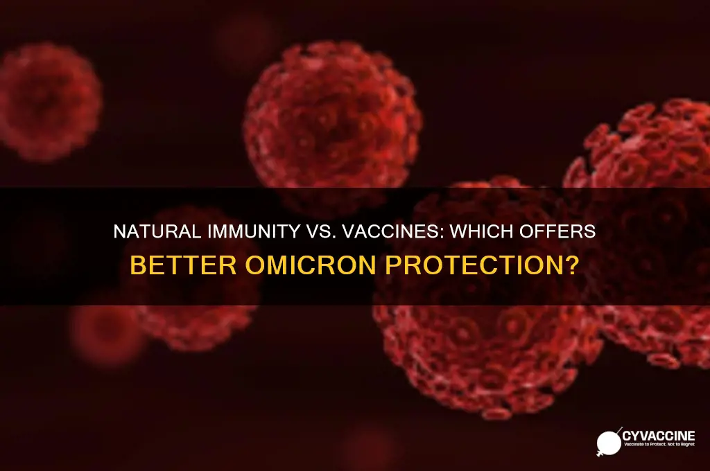is natural immunity better than a vaccine for omicron