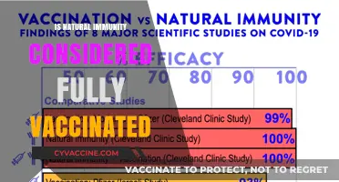 Exploring Natural Immunity: Does It Equate to Full Vaccination?