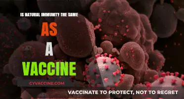 Natural Immunity vs. Vaccines: Understanding the Key Differences and Benefits