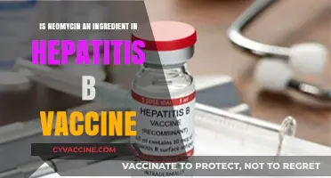 Neomycin in Hepatitis B Vaccines: Fact-Checking Ingredients and Safety