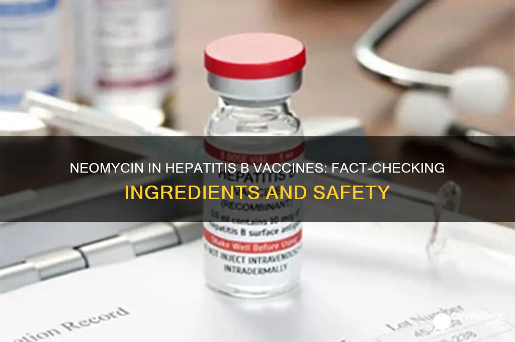 is neomycin an ingredient in hepatitis b vaccine