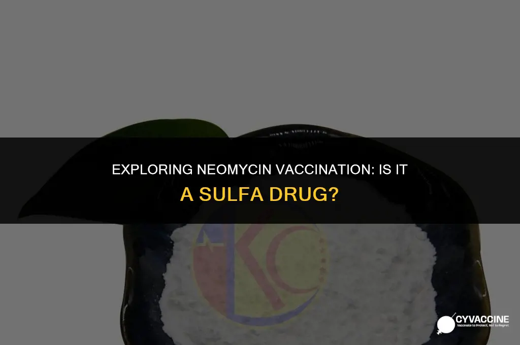 is neomycin vaccination a sulfa drug