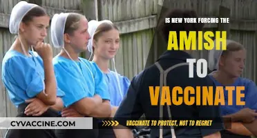 Amish Vaccination Dilemma: New York's Mandate Sparks Cultural Clash