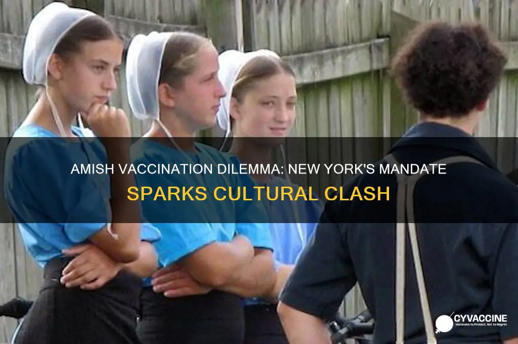 is new york forcing the amish to vaccinate