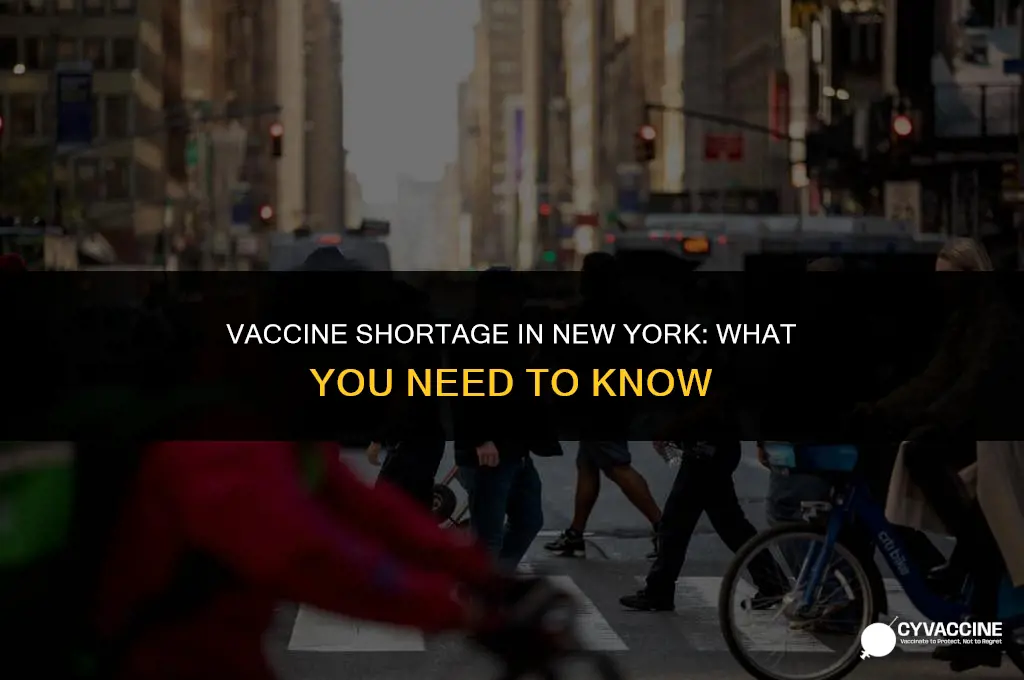 is new york out of vaccine