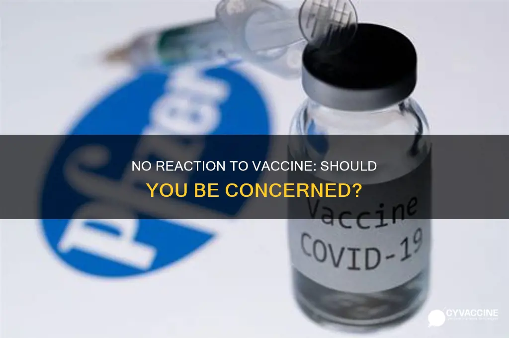 is no reaction to vaccine a bad sign