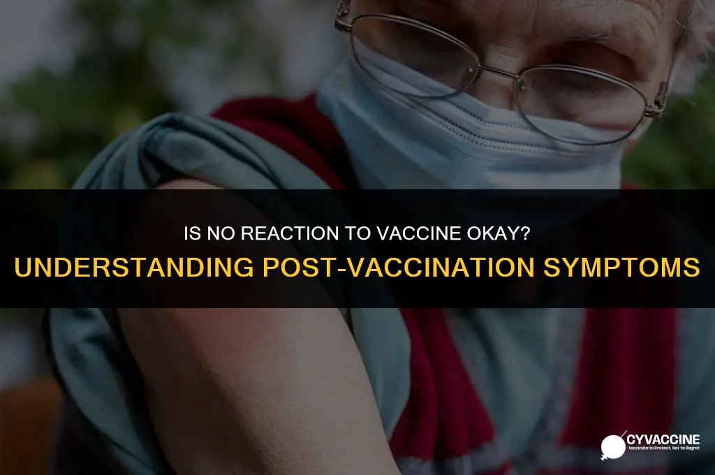 is no reaction to vaccine ok