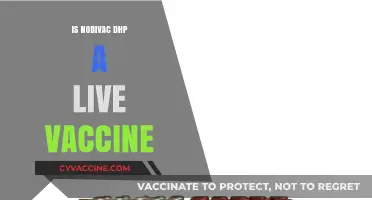 Understanding Nobivac DHP: Is It a Live Vaccine?
