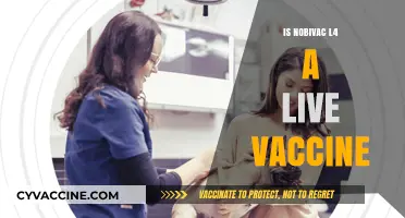 Understanding Nobivac L4: Is It a Live Vaccine?