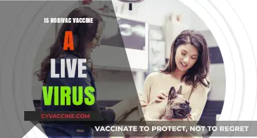 Understanding Nobivac Vaccine: Live Virus or Not?