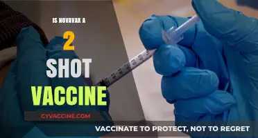 Understanding Novavax: The Facts About Its Two-Shot Vaccine