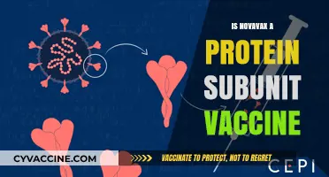 Unveiling Novavax: The Protein Subunit Vaccine Revolution