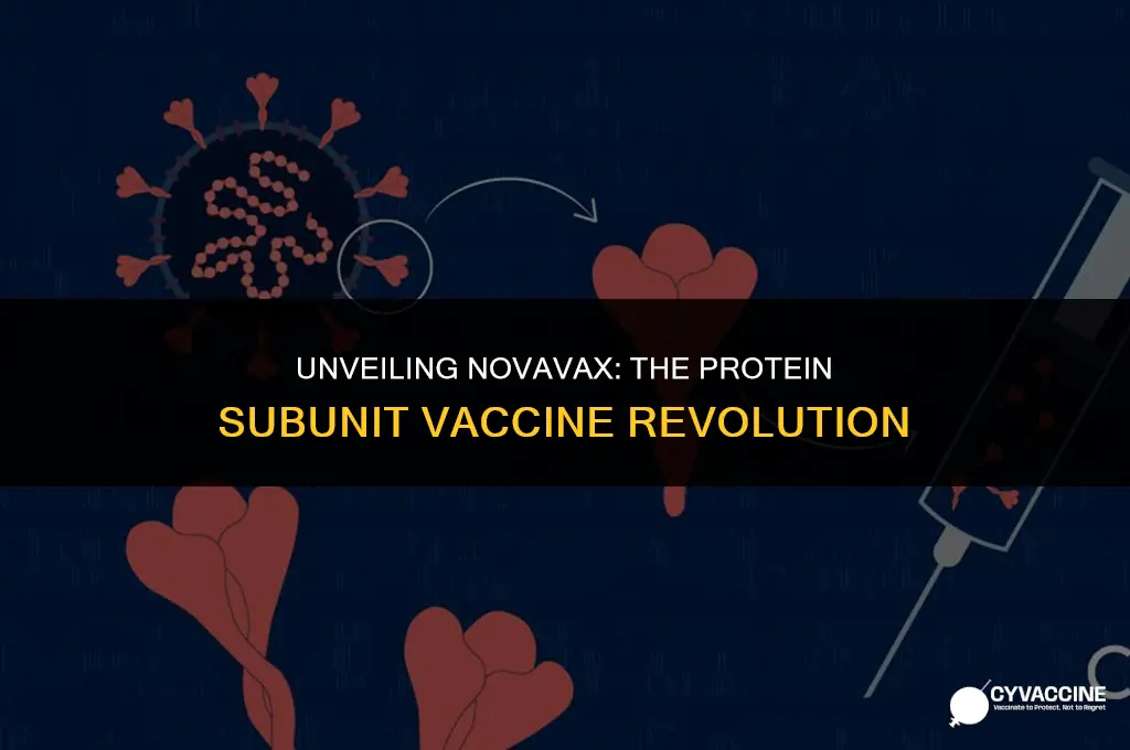 is novavax a protein subunit vaccine