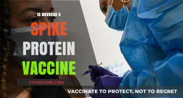 Understanding Novavax: A Non-Spike Protein Vaccine Option