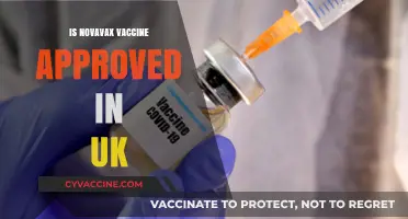 Novavax Vaccine Approval in the UK: What You Need to Know