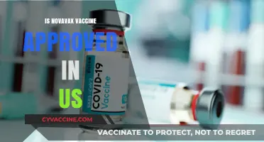 Novavax Vaccine Approval in the US: What You Need to Know
