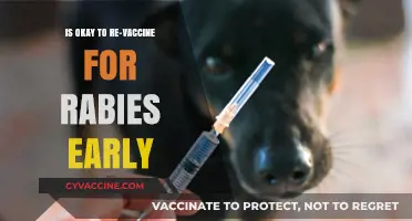 Revaccinating for Rabies Early: Safe, Necessary, or Overkill?