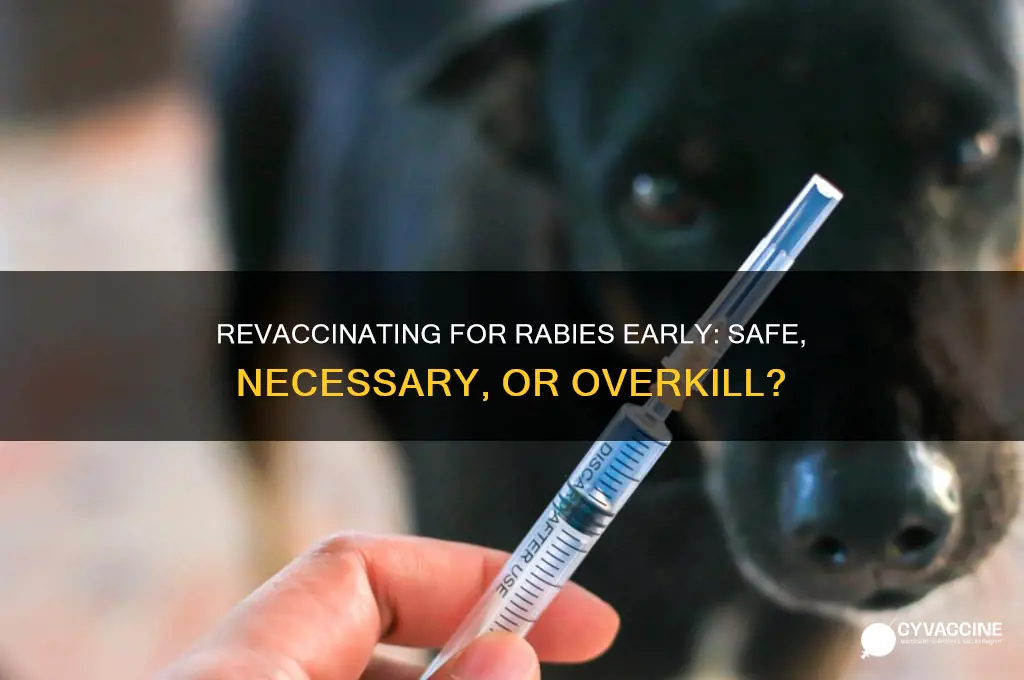 is okay to re-vaccine for rabies early