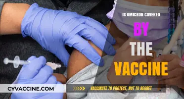 Vaccine Efficacy Against Omicron: What You Need to Know
