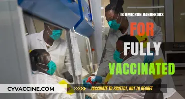 Omicron Variant: What's the Risk for Fully Vaccinated Individuals?