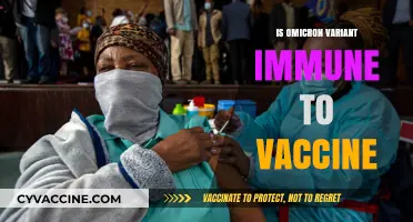 Unraveling the Mystery: Omicron Variant and Vaccine Immunity