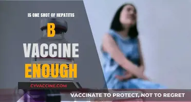 Is One Hepatitis B Vaccine Shot Sufficient for Protection?