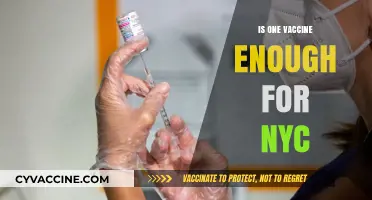 Sufficiency of a Single Vaccine Dose in New York City: A Comprehensive Analysis