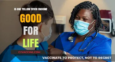 Is One Yellow Fever Vaccine Enough for Lifelong Immunity?