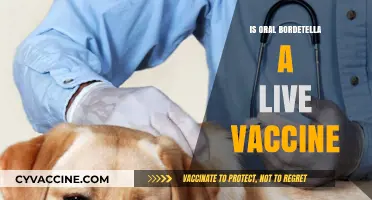 Understanding Oral Bordetella: Is It a Live Vaccine?