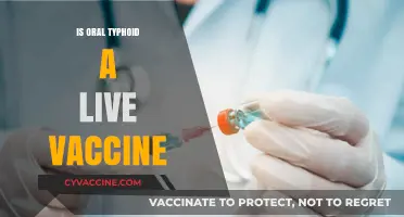 Understanding Oral Typhoid Vaccination: Myths, Facts, and Protection
